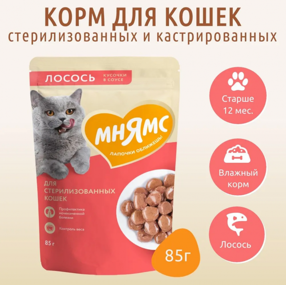 Влажный корм Мнямс Кусочки в соусе с лососем для стерилизованных кошек 85 г