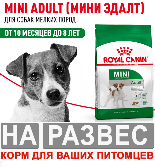Корм Роял Канин РАЗВЕС МИНИ для собак