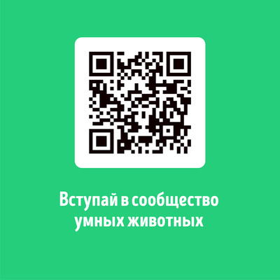 Smart Dog Впитывающие пеленки для собак 60х40, 5 шт