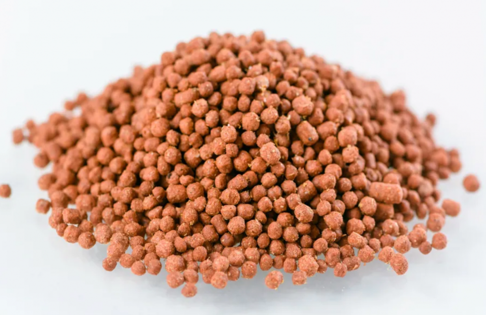 Тортила-Мини Гранулы корм для молодых водяных черепах 90 г