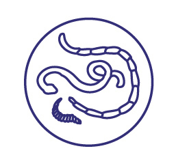 Препарат противопаразитный для котят и кошек Астрафарм Празител суспензия 15мл