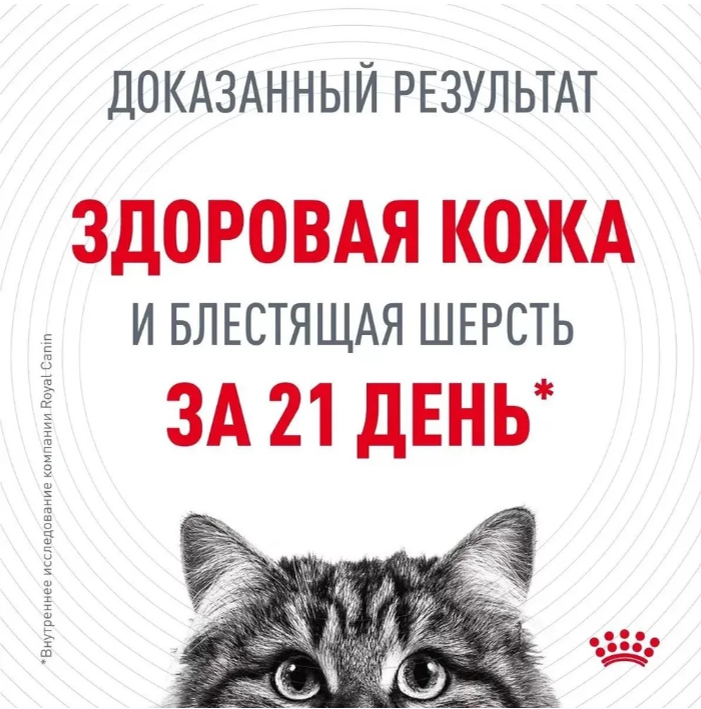 Влажный корм для кошек Royal Canin кусочки в желе : идеальная кожа и шерсть 85 г