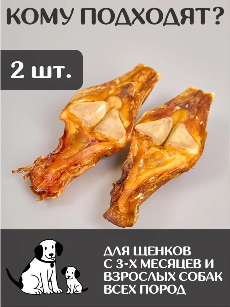 Лакомства For Rodent Dog конское сухожилие 20nсм 100 г С КОСТЬЮ для собак