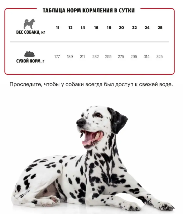 Корм Karmy MEDIUM ADULT -Телятина. Корм для взрослых собак средних пород